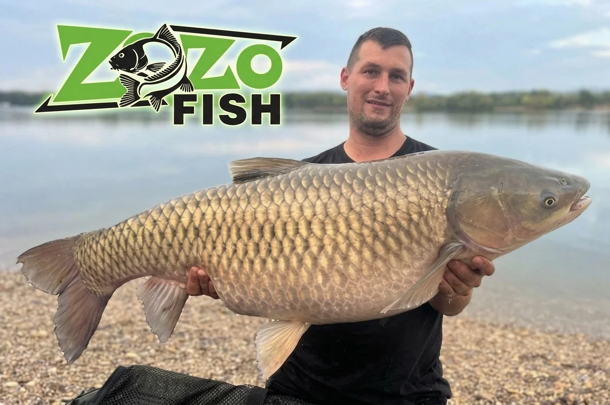 Zozo Fish Baits bojlival fogott nagy ponty